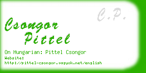 csongor pittel business card